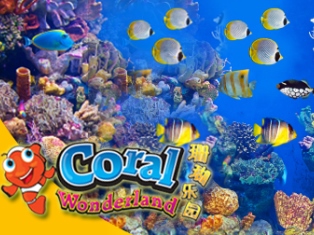 Coral Wonderland Melaka